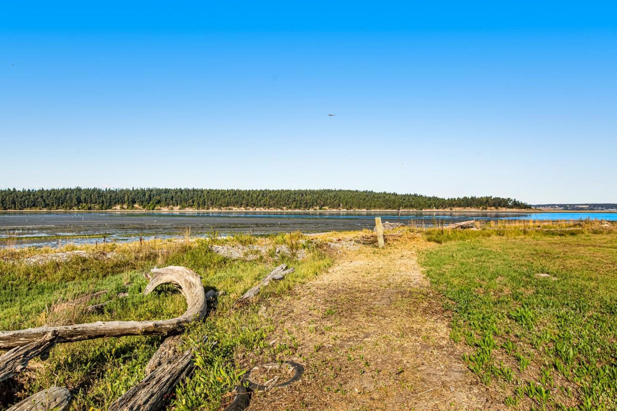 Marrowstone Island Beach Cabin Exterior photo